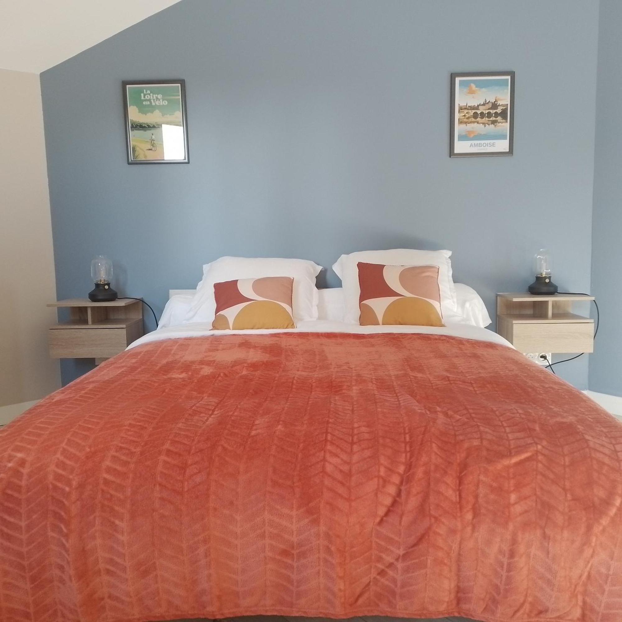 O 87 - Chambres D'Hotes Amboise Extérieur photo